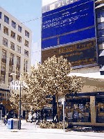 bluescreen.jpg (25.45 KiB) 840 mal betrachtet Ohne Kommentar :rofl: